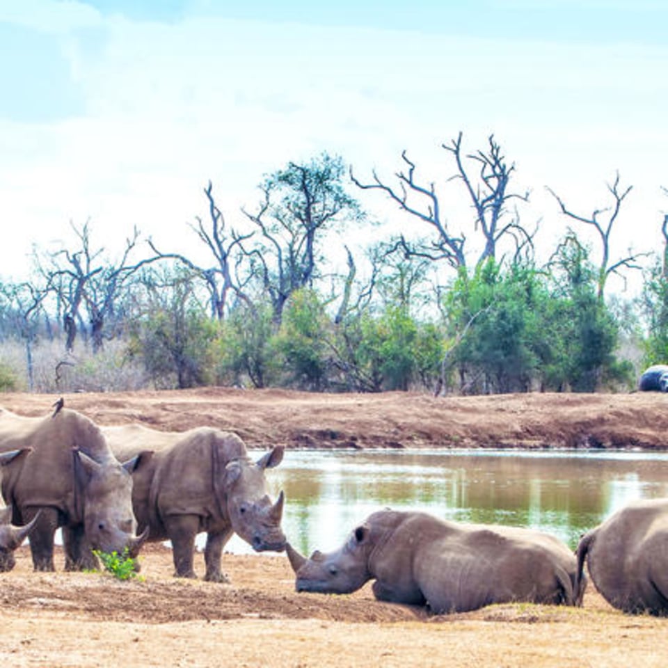 Selbstfahrerreise durch den Südosten Südafrikas & eSwatini